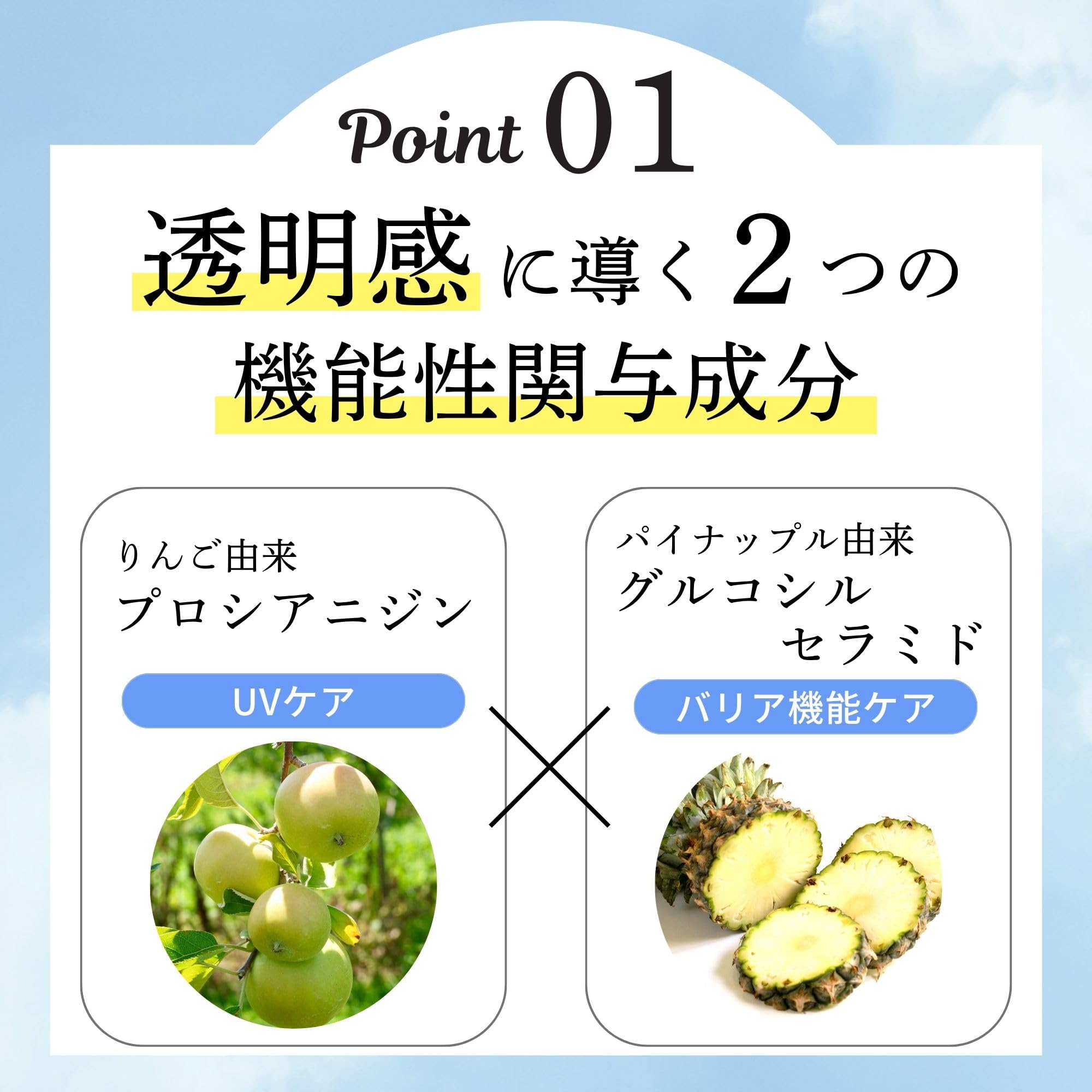 Amazon | FTC ブライトチャージ 飲む日焼け止め 120粒 30日分 君島